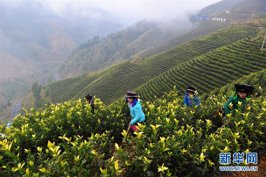 (兩會(huì)前夕看落實(shí)·圖文互動(dòng))(8)決戰(zhàn)脫貧攻堅(jiān) 奮力后發(fā)趕超——貴州落實(shí)習(xí)近平總書記全國(guó)兩會(huì)重要講話精神紀(jì)實(shí)