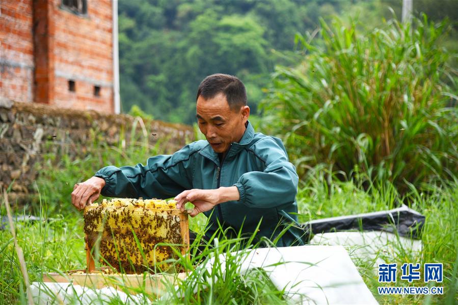 (兩會前夕看落實·圖文互動)(7)奮力脫貧攻堅 生態追“清”逐“綠”——江西落實習近平總書記全國兩會重要講話精神紀實