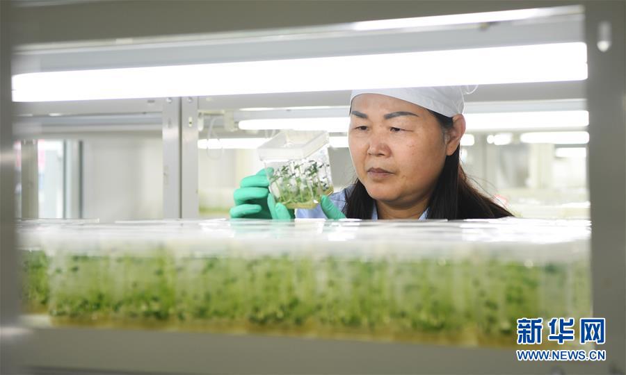 (兩會前夕看落實(shí)·圖文互動)(5)春風(fēng)涌動兩江潮——重慶落實(shí)習(xí)近平總書記全國兩會重要講話精神紀(jì)實(shí)