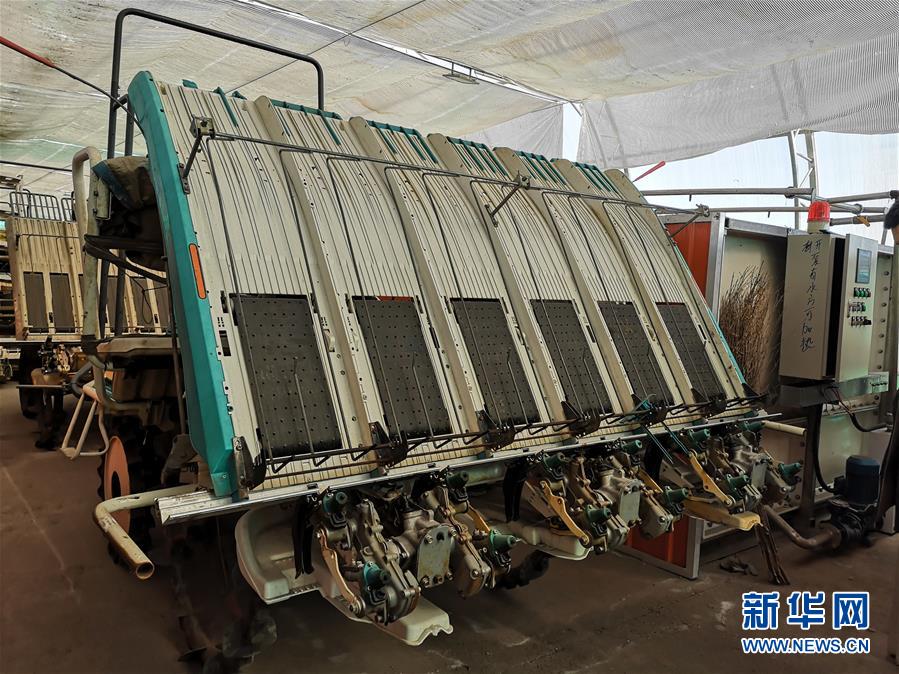 (在習(xí)近平新時代中國特色社會主義思想指引下——新時代新作為新篇章·圖文互動)(2)黑土地上感受“中國飯碗”新變化