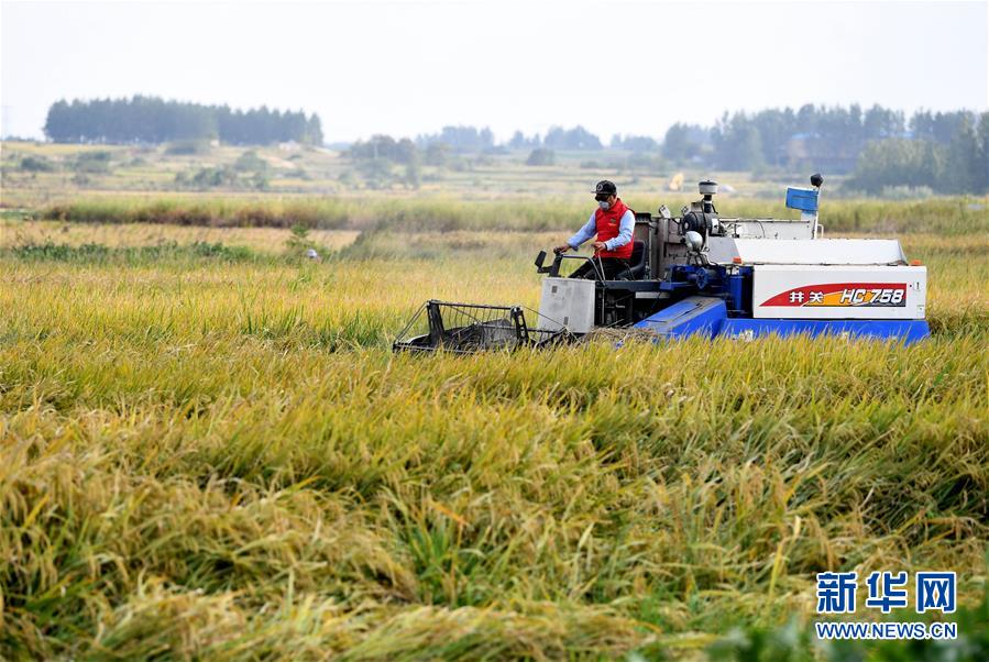 (新華全媒頭條·愛(ài)國(guó)情 奮斗者·圖文互動(dòng))(6)一個(gè)村的奮斗,一個(gè)時(shí)代的巨變——記敢“蹚新路”的小崗人