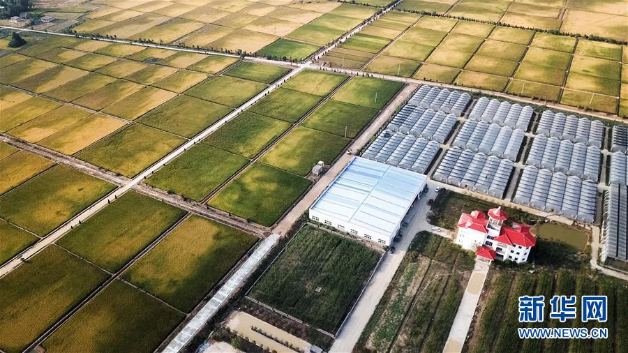 (新華全媒頭條·愛(ài)國(guó)情 奮斗者·圖文互動(dòng))(8)一個(gè)村的奮斗,一個(gè)時(shí)代的巨變——記敢“蹚新路”的小崗人