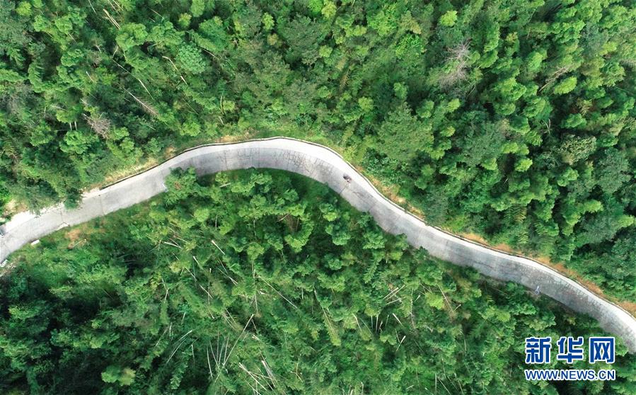 (中國網事·感動2019·圖文互動)(7)鄉村教師高自仁:60多根拐杖,撐起42年教學路