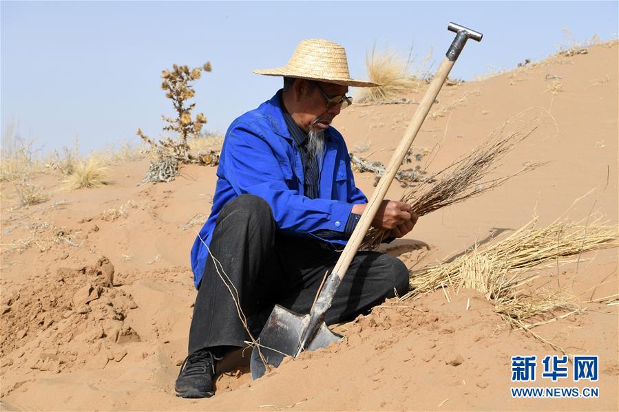 (新華全媒頭條·圖文互動)(11)八步沙·六老漢·三代人