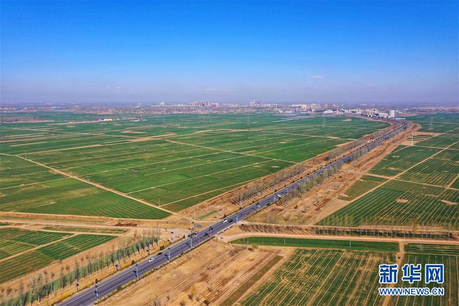 （新華全媒頭條·圖文互動）（2）奮進，向著未來之城！——河北雄安新區(qū)建設發(fā)展兩周年紀實