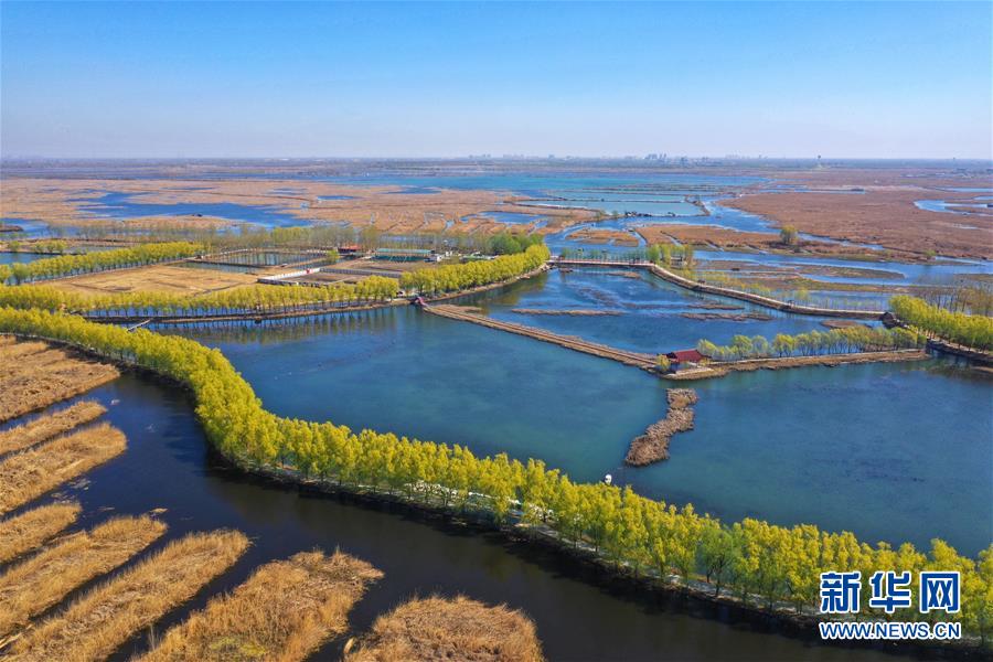 （新華全媒頭條·圖文互動）（5）奮進，向著未來之城！——河北雄安新區(qū)建設發(fā)展兩周年紀實