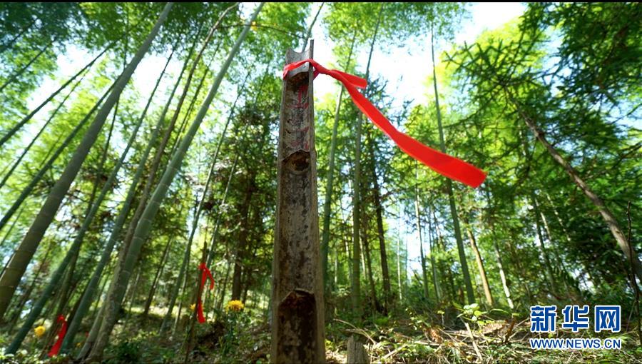 (圖文互動)(2)永不遲到的祭奠——追尋1343座無名紅軍墓背后的故事