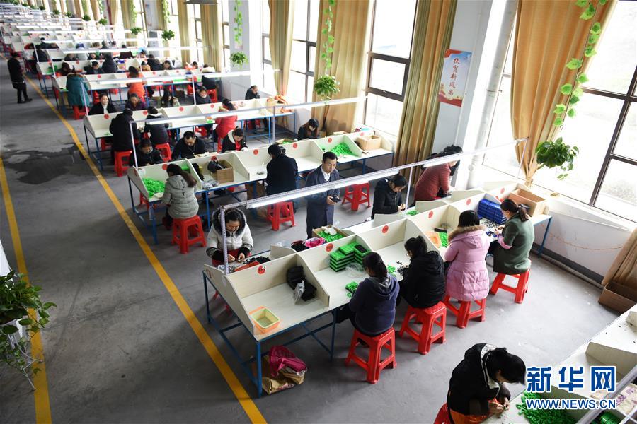 (在習近平新時代中國特色社會主義思想指引下——新時代新作為新篇章·圖文互動)(5)“搬遷到哪里,服務就延伸到哪里”——貴州推進易地扶貧搬遷“后半篇文章”