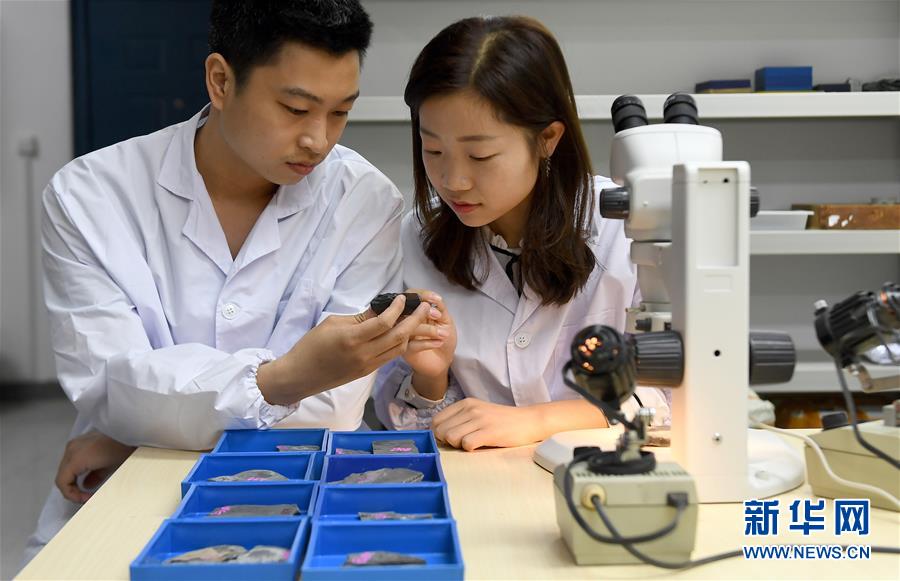 (新華全媒頭條·圖文互動)(5)探尋5億年前“生命大爆炸”之奧秘——中國科學家發現寒武紀“化石寶庫”清江生物群紀實