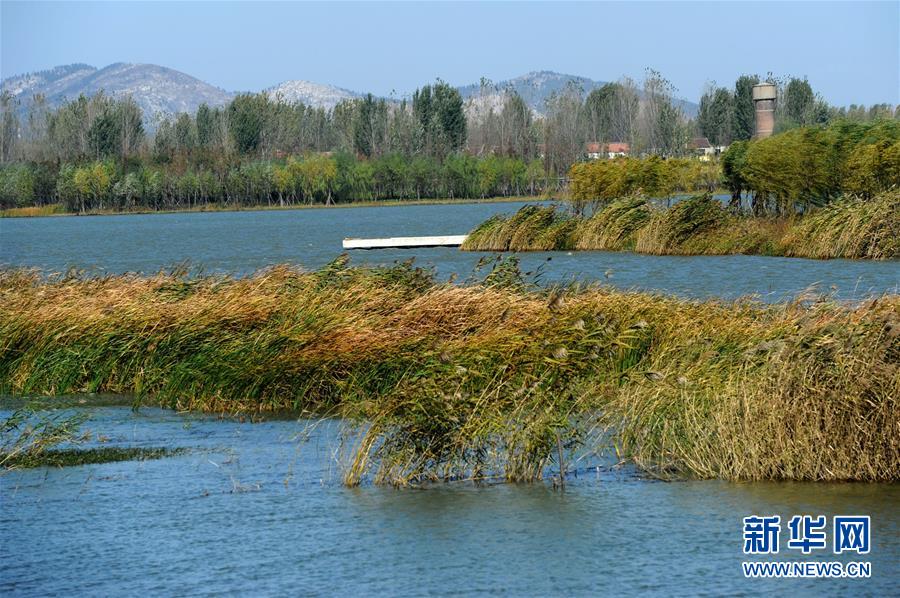 (新華全媒頭條·圖文互動(dòng))(13)城市重生的徐州邏輯——資源枯竭城市的轉(zhuǎn)型之道