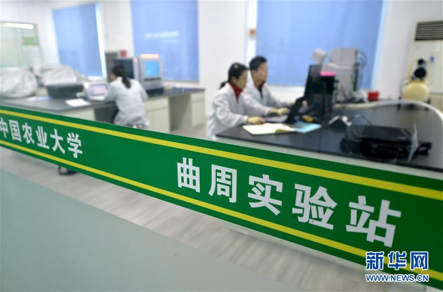 (愛國情 奮斗者·圖文互動)(3) “解民生之多艱,育天下之英才”——中國農大師生扎根田野書寫奉獻之歌