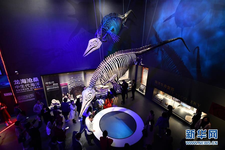 (社會(huì))(3)國(guó)家海洋博物館5月1日試運(yùn)行
