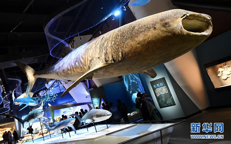 (社會(huì))(6)國(guó)家海洋博物館5月1日試運(yùn)行