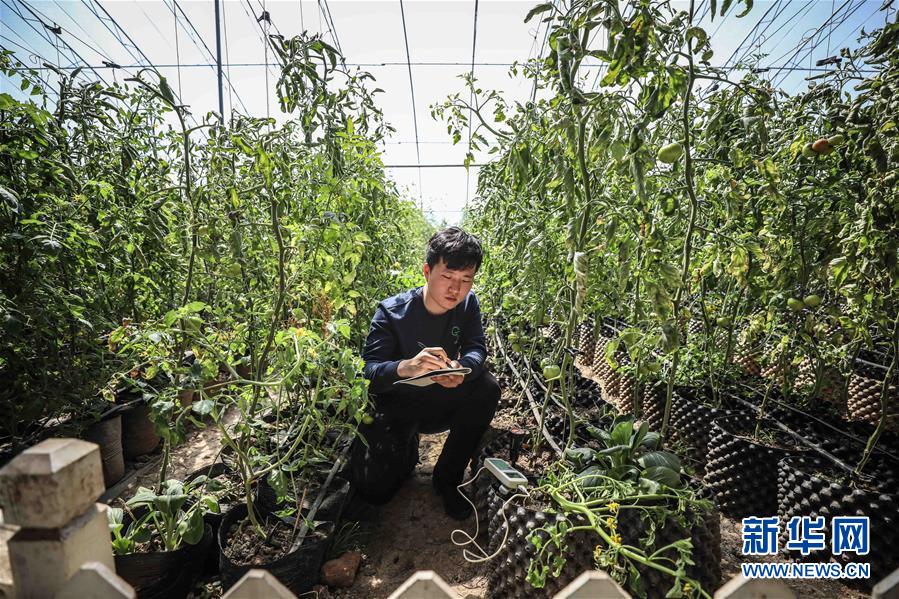 (新華全媒頭條·圖文互動)(5)青春萬歲 強(qiáng)國有我