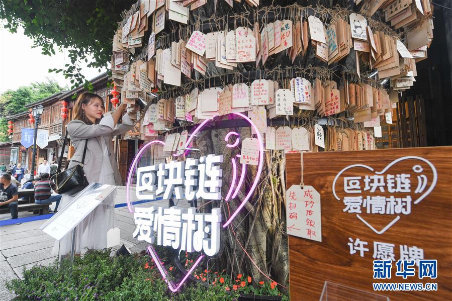 (新華全媒頭條·圖文互動)(9)從“數字中國”看中國發展新信號、新亮點、新趨勢