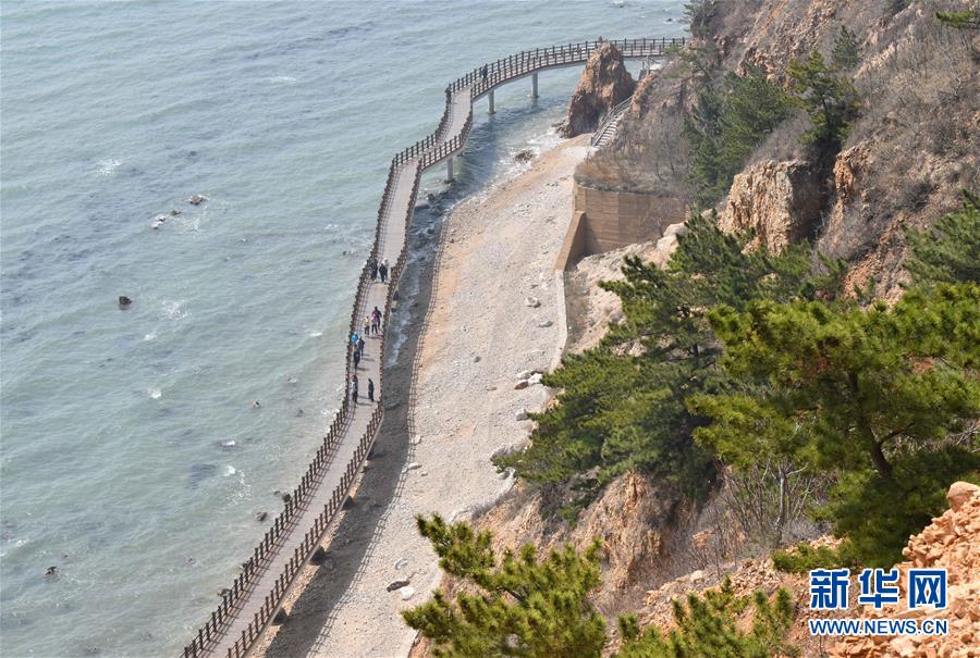 (壯麗70年·奮斗新時代·圖文互動)(2)山東煙臺:念好“海洋經(jīng)” 闊步向深藍(lán)