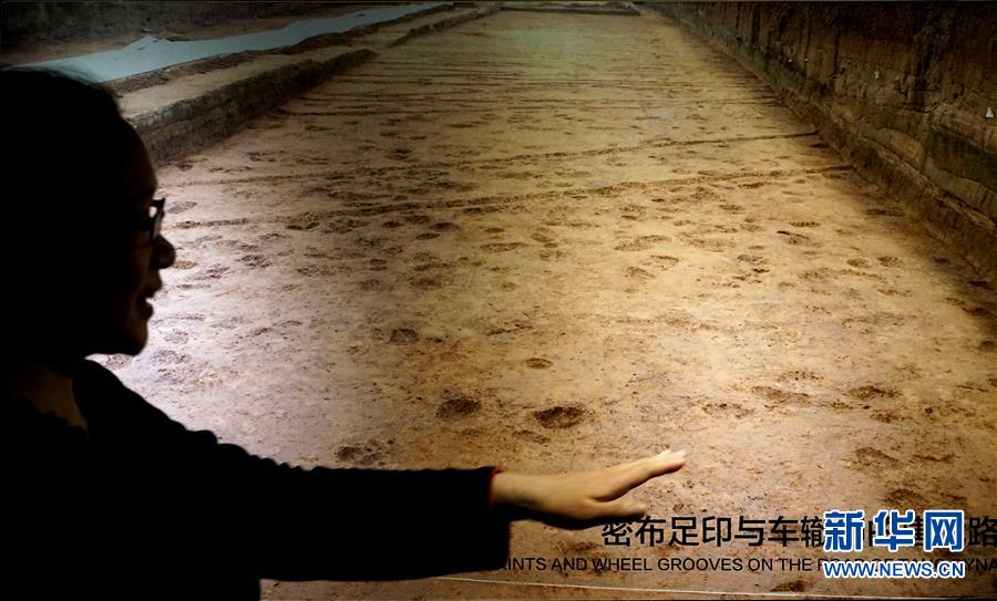 (新華全媒頭條·圖文互動)(6)“若問古今興廢事,請君只看洛陽城”——千年古都“烹制”博物館盛宴