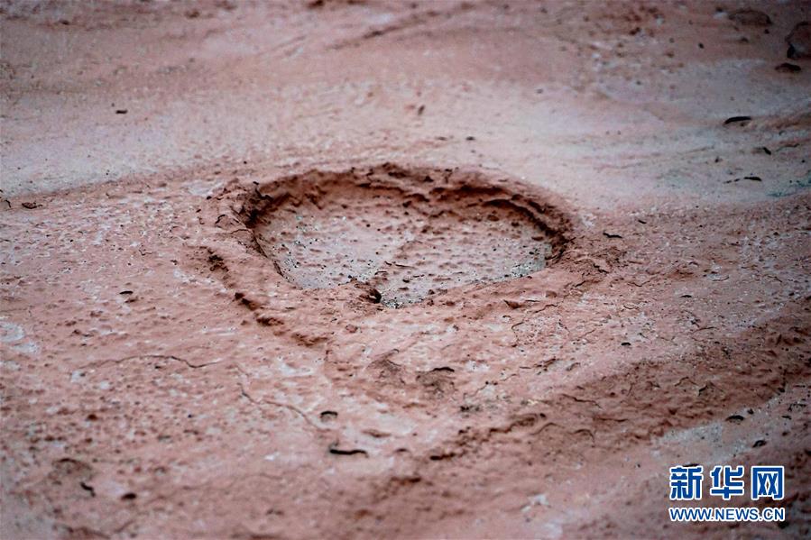 (新華全媒頭條·圖文互動)(8)“若問古今興廢事,請君只看洛陽城”——千年古都“烹制”博物館盛宴