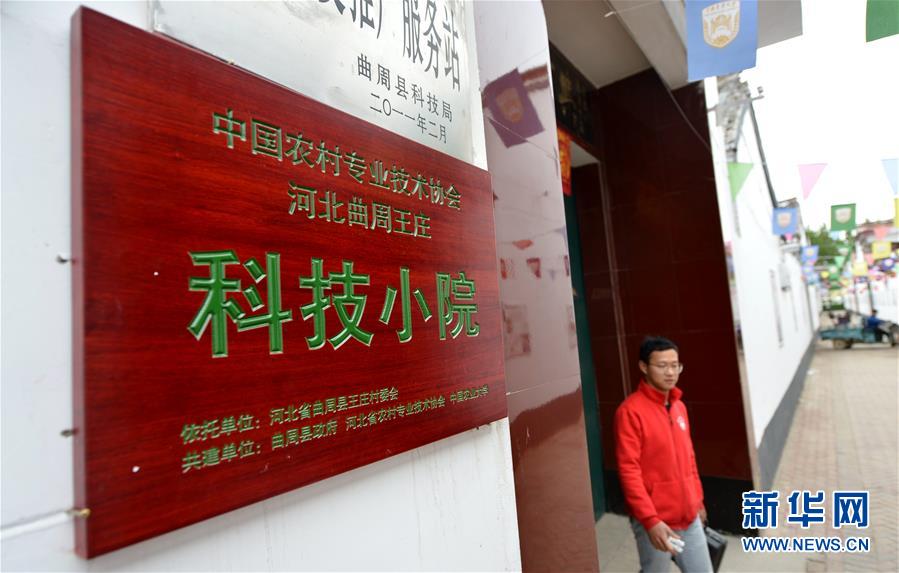 (新華全媒頭條·愛國情 奮斗者·圖文互動)(11)把論文寫在祖國的大地上——中國農業大學46年扎根河北曲周服務鄉村振興紀實