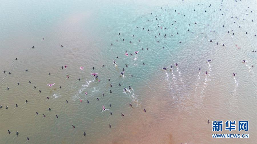 (新華全媒頭條·圖文互動)(6)大河歸來