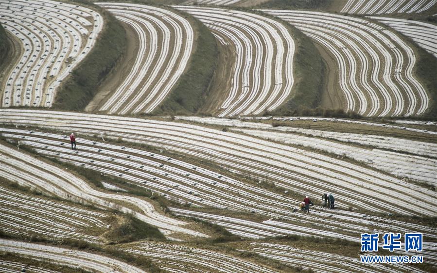 (新華全媒頭條·壯麗70年·奮斗新時代·圖文互動)(7)中國減貧的西海固報告