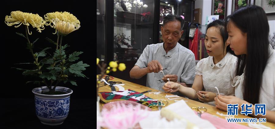 (新華全媒頭條·圖文互動)(11)傾聽大河新生的“脈動”——寫在中國大運河申遺成功五周年之際