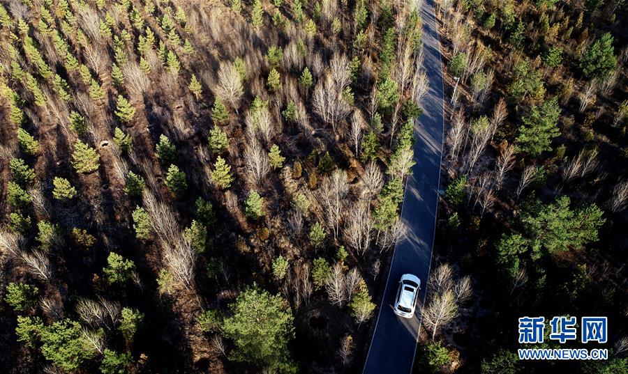 (壯麗70年·奮斗新時代·圖文互動)(12)毛烏素治理:眾志縛流沙 塞外展新顏