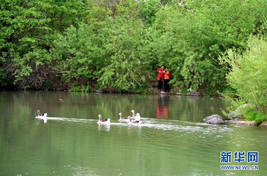 （在習(xí)近平新時(shí)代中國(guó)特色社會(huì)主義思想指引下——新時(shí)代新作為新篇章·圖文互動(dòng)）（4）在這里，遇見“詩和遠(yuǎn)方”——長(zhǎng)白山下“第一鎮(zhèn)”的全域旅游實(shí)踐