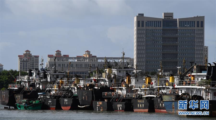 (社會(huì))(1)海口:船舶回港避臺(tái)風(fēng)