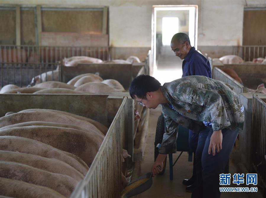 （新華全媒頭條·圖文互動）（2）咱們村里的年輕人——記奮戰在貴州脫貧攻堅一線的青年