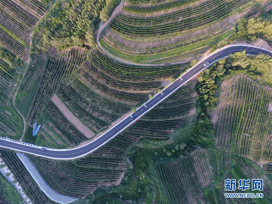 (新華全媒頭條·圖文互動)(5)心系北疆 情滿草原——習近平總書記考察內蒙古回訪記