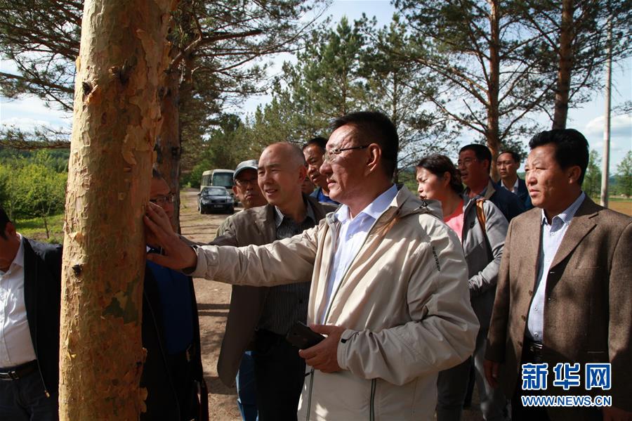 (新華全媒頭條·圖文互動(dòng))(4)用生命守護(hù)那片綠色——追記內(nèi)蒙古大興安嶺林區(qū)干部于海俊