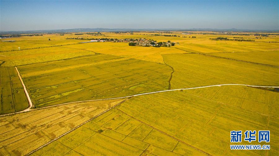 (在習近平新時代中國特色社會主義思想指引下——新時代新作為新篇章·圖文互動)(2)吉林萬昌現代農業發展先導區“三變”
