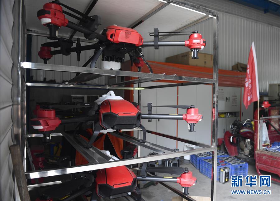 (在習近平新時代中國特色社會主義思想指引下——新時代新作為新篇章·圖文互動)(3)吉林萬昌現代農業發展先導區“三變”