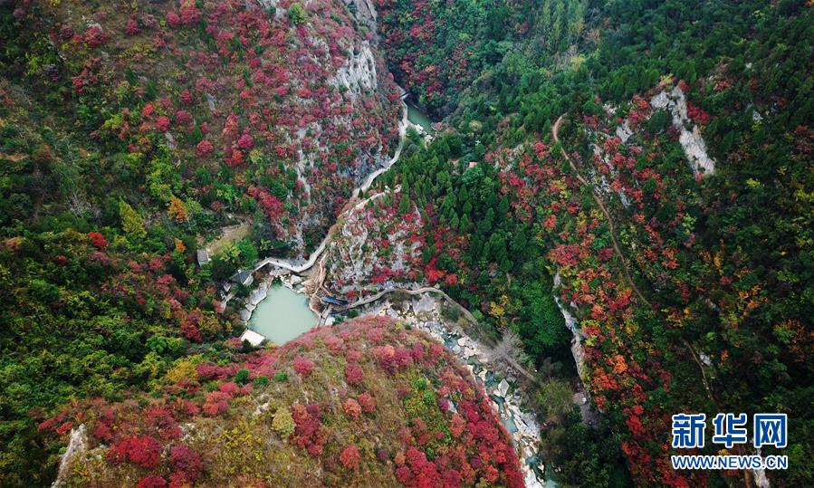 (壯麗70年·奮斗新時代——共和國發展成就巡禮·圖文互動)(2)以“綠色”身姿站上發展前沿——甘肅綠色轉型發展紀實