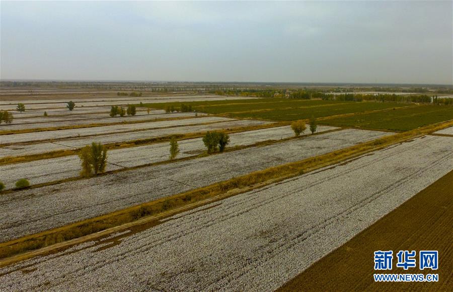 (壯麗70年·奮斗新時代——共和國發展成就巡禮·圖文互動)(1)鑄劍為犁造綠洲 安邊固疆筑“長城”——新疆生產建設兵團維穩戍邊改革發展紀實