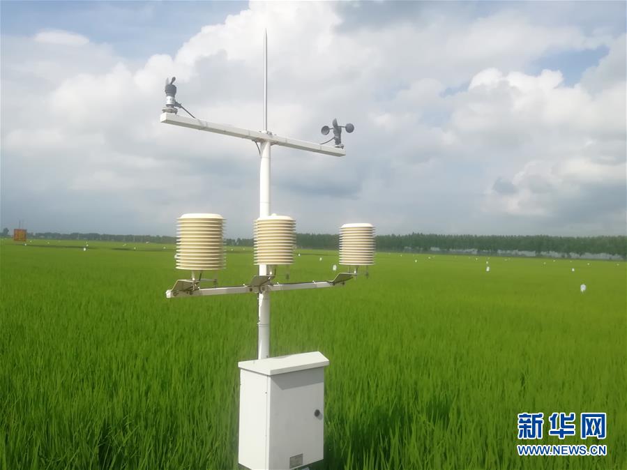 (在習(xí)近平新時(shí)代中國(guó)特色社會(huì)主義思想指引下——新時(shí)代新作為新篇章·圖文互動(dòng))(1)從“靠天吃飯”到“看天管理”——黑龍江創(chuàng)新氣象為農(nóng)服務(wù)體系觀察