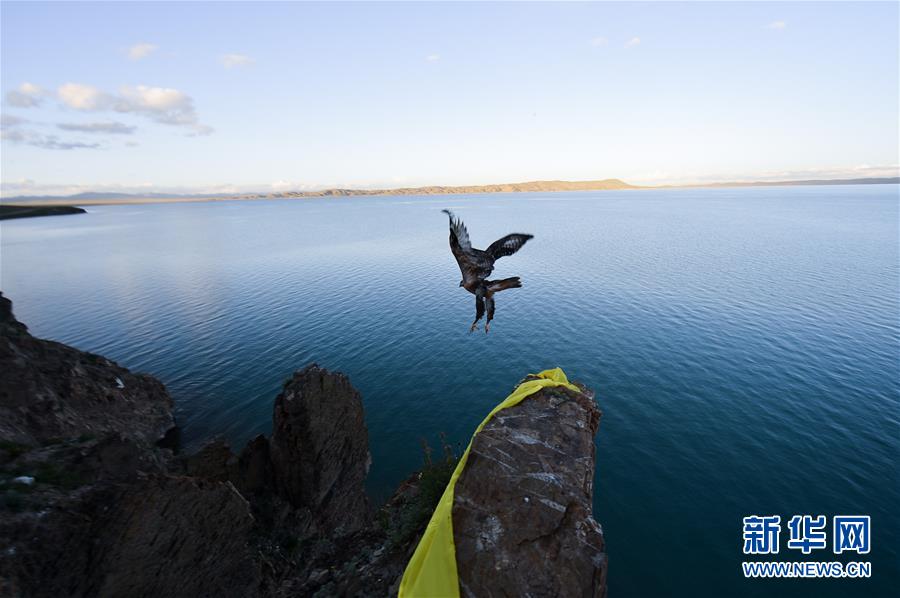 （今日關注·第一屆國家公園論壇·圖文互動）（2）首個國家公園什么樣？專家帶你先“睹”為快
