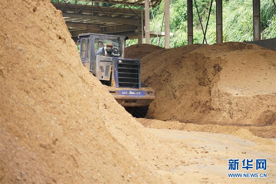 （在習(xí)近平新時(shí)代中國特色社會(huì)主義思想指引下——新時(shí)代新作為新篇章·總書記關(guān)心的百姓身邊事·圖文互動(dòng)）（4）大污染變身“大寶藏”：治理畜禽糞污，他們這樣干！