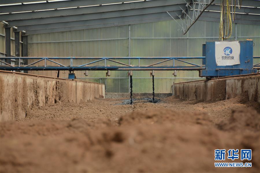 （在習(xí)近平新時(shí)代中國特色社會(huì)主義思想指引下——新時(shí)代新作為新篇章·總書記關(guān)心的百姓身邊事·圖文互動(dòng)）（5）大污染變身“大寶藏”：治理畜禽糞污，他們這樣干！