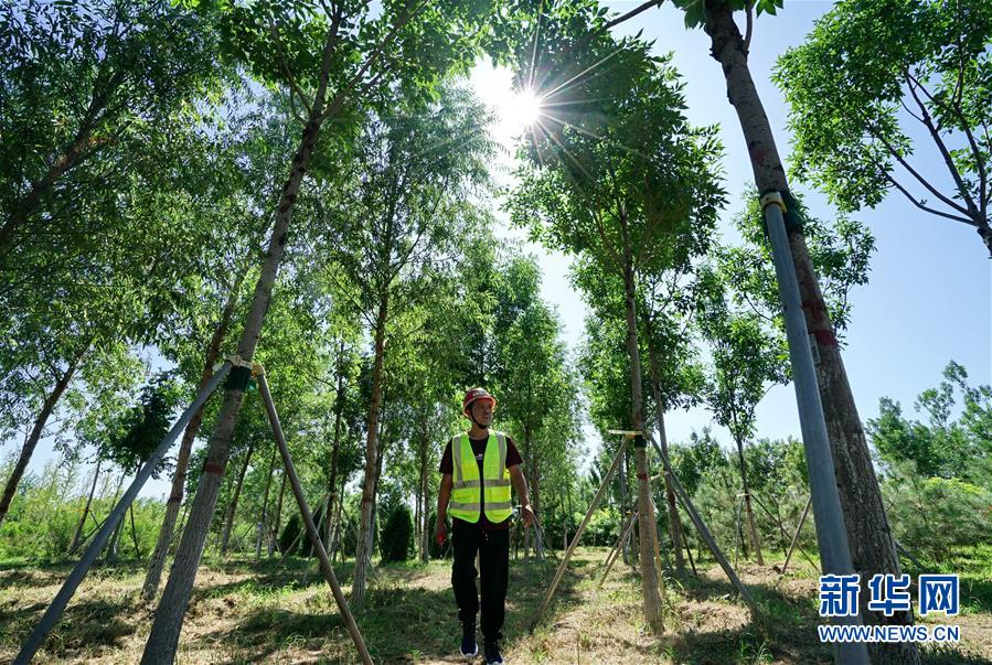 (壯麗70年·奮斗新時代·重溫囑托看變化·圖文互動)(1)雄安新區:錨定高質量發展 奮力書寫新時代答卷