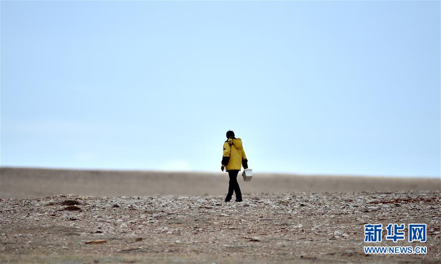 (新華全媒頭條·圖文互動)(9)確保“中華水塔”碧水東流——中國三江源生態保護報告