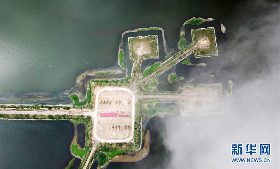 (圖文互動(dòng))(14)當(dāng)好標(biāo)桿旗幟 建設(shè)百年油田——寫(xiě)在大慶油田發(fā)現(xiàn)60周年之際