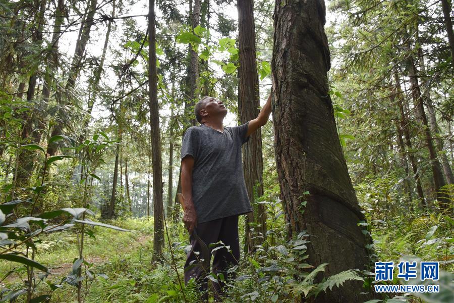 （愛(ài)國(guó)情 奮斗者·圖文互動(dòng)）（3）貴州印江高石坎護(hù)林隊(duì)：半輩子，以林場(chǎng)為家