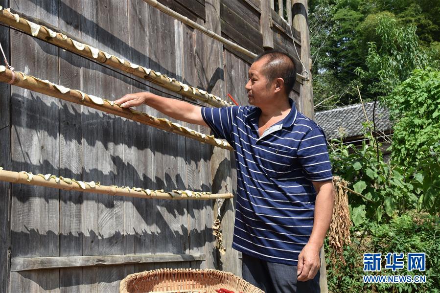 （愛(ài)國(guó)情 奮斗者·圖文互動(dòng)）（2）貴州印江高石坎護(hù)林隊(duì)：半輩子，以林場(chǎng)為家