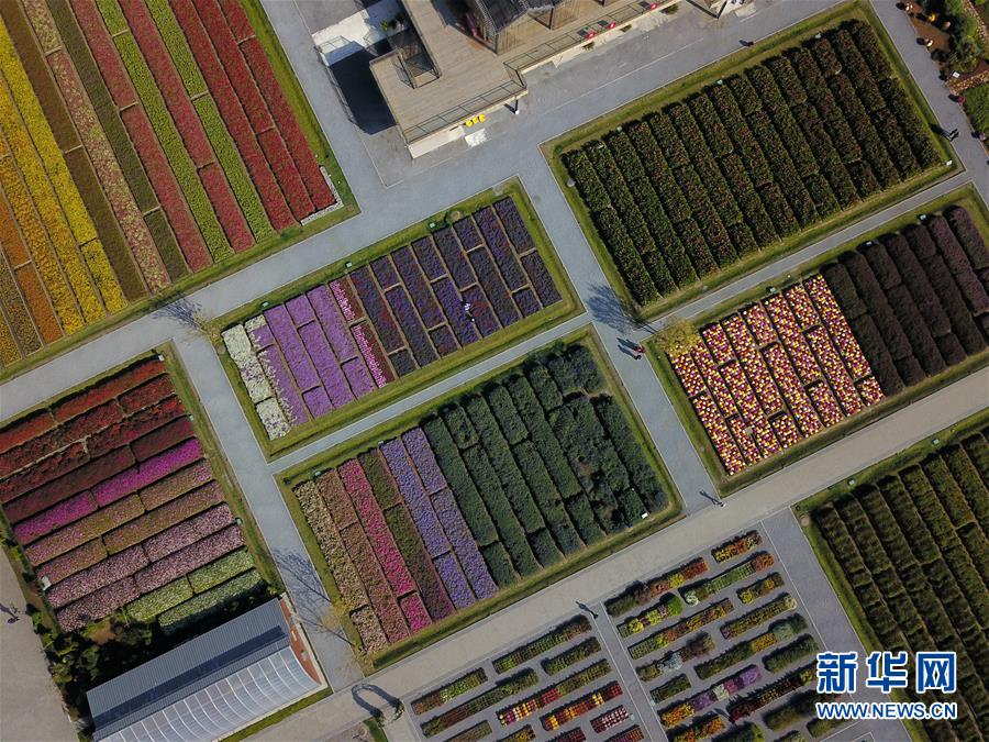 (新華全媒頭條·圖文互動(dòng))(11)難忘的“世園記憶” 共同的綠色追求——寫(xiě)在北京世園會(huì)閉幕之際