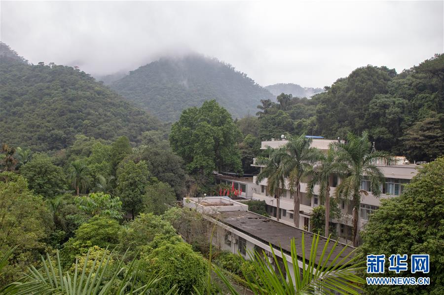 (圖文互動)(3)科學接續保護 守住生態紅線——探訪“北回歸沙漠帶上的綠色明珠”