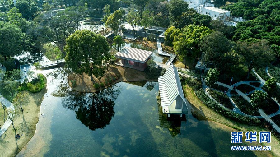 (新華全媒頭條·圖文互動)(5)敢為人先開新路——深圳全面開啟“先行示范區”建設進程