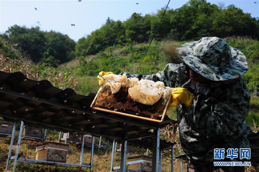 (新華全媒頭條·圖文互動)(4)永不歸來的“戰士”——追記倒在脫貧攻堅一線的貴州沿河縣駐村第一書記文偉紅