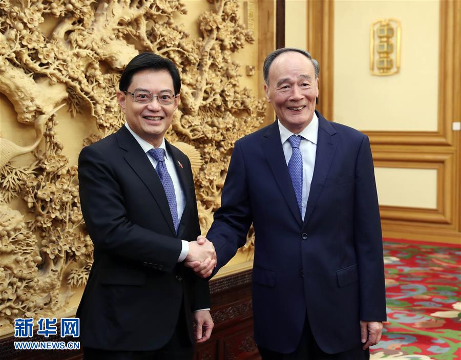 (時(shí)政)王岐山會(huì)見(jiàn)新加坡副總理兼財(cái)政部長(zhǎng)王瑞杰